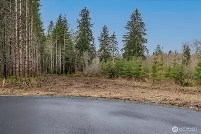 0 Lot 5 Larson Road, McCleary, WA 98557 - Photo 14