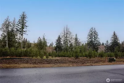 0 Lot 5 Larson Road, McCleary, WA 98557 - Photo 26