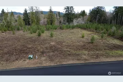 0 Lot 5 Larson Road, McCleary, WA 98557 - Photo 12