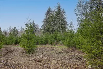 0 Lot 5 Larson Road, McCleary, WA 98557 - Photo 20