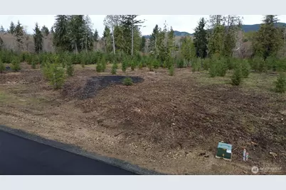 0 Lot 5 Larson Road, McCleary, WA 98557 - Photo 10