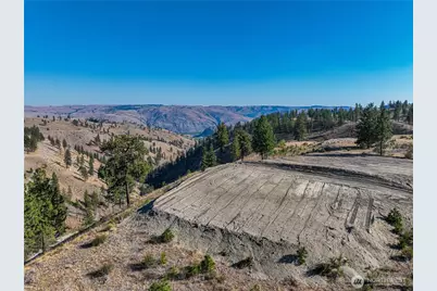 0 Evergreen Camp Rd. Parcel B, Chelan, WA 98816 - Photo 4