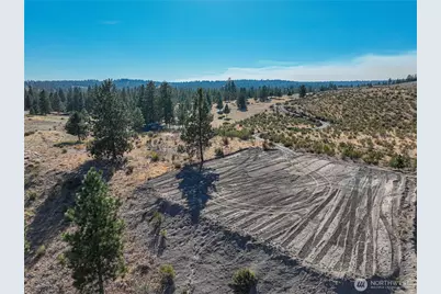 0 Evergreen Camp Rd. Parcel C, Chelan, WA 98816 - Photo 4