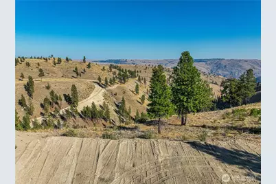 0 Evergreen Camp Rd. Parcel C, Chelan, WA 98816 - Photo 6