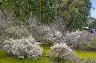 596 Forrest Way, Camano Island, WA 98282 - Photo 36