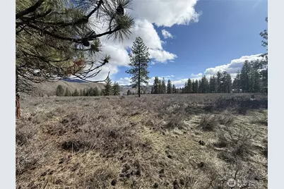 40 Tbd Rabbit House Road, Winthrop, WA 98862 - Photo 18