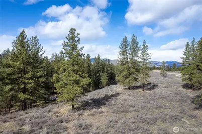 40 Tbd Rabbit House Road, Winthrop, WA 98862 - Photo 40