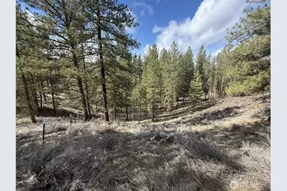 40 Tbd Rabbit House Road, Winthrop, WA 98862 - Photo 20