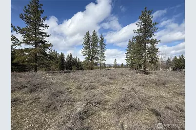 40 Tbd Rabbit House Road, Winthrop, WA 98862 - Photo 22