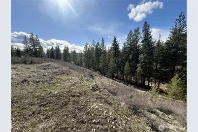 40 Tbd Rabbit House Road, Winthrop, WA 98862 - Photo 12