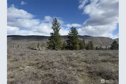 40 Tbd Rabbit House Road, Winthrop, WA 98862 - Photo 24