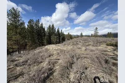 40 Tbd Rabbit House Road, Winthrop, WA 98862 - Photo 16