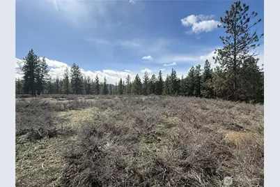 40 Tbd Rabbit House Road, Winthrop, WA 98862 - Photo 8