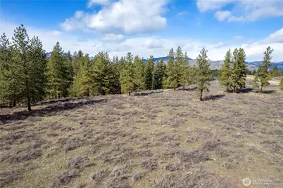 40 Tbd Rabbit House Road, Winthrop, WA 98862 - Photo 6