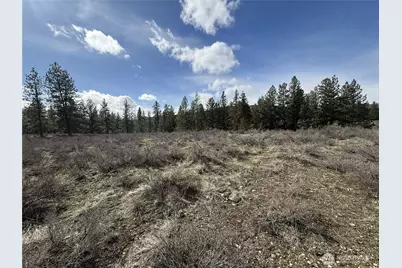 40 Tbd Rabbit House Road, Winthrop, WA 98862 - Photo 30