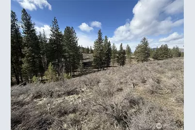 40 Tbd Rabbit House Road, Winthrop, WA 98862 - Photo 10