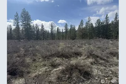 40 Tbd Rabbit House Road, Winthrop, WA 98862 - Photo 28