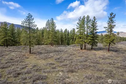 40 Tbd Rabbit House Road, Winthrop, WA 98862 - Photo 4