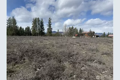 40 Tbd Rabbit House Road, Winthrop, WA 98862 - Photo 26