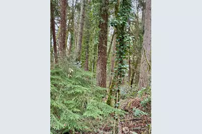 0 SW 230th Street, Vashon, WA 98070 - Photo 2