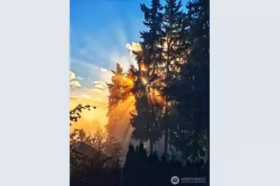 9968 184th Avenue NE, Redmond, WA 98052 - Photo 38