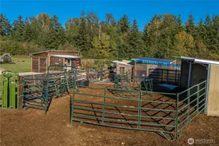 22816 36th St E, Buckley, WA 98321 - Photo 34