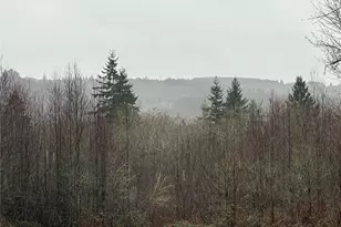 280 Ridgeview Rd, Onalaska, WA 98570 - Photo 1