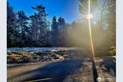 30510 O, Ocean Park, WA 98640 - Photo 8