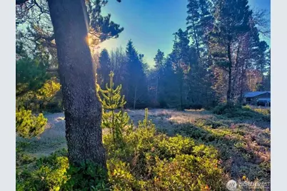 30510 O, Ocean Park, WA 98640 - Photo 6