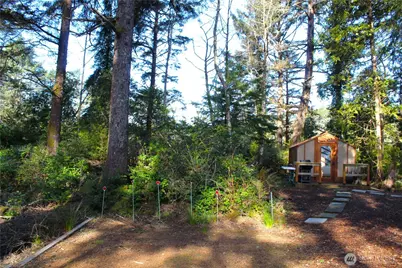 43 Dolphin Lane, Copalis Beach, WA 98535 - Photo 24