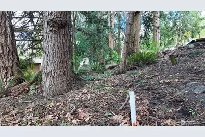 792 Shelter Bay Dr, La Conner, WA 98257 - Photo 4