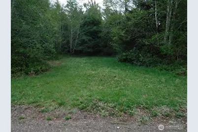 56 Ranta Road, South Bend, WA 98586 - Photo 2