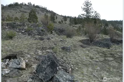 111 Tbd Six Gun Way, Tonasket, WA 98855 - Photo 12