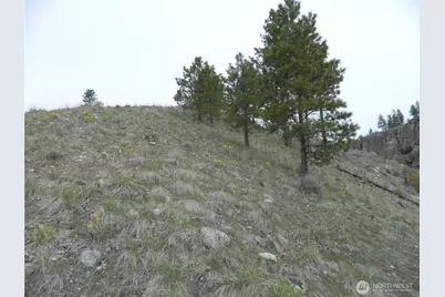 11 Tbd Six Gun Way, Tonasket, WA 98855 - Photo 8