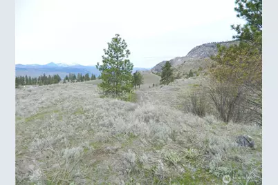 0 Tbd Six Gun Way, Tonasket, WA 98855 - Photo 10