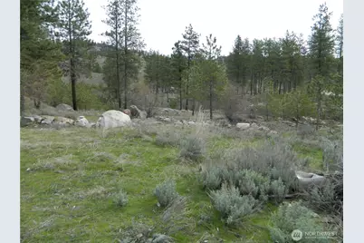 0 Tbd Six Gun Way, Tonasket, WA 98855 - Photo 2
