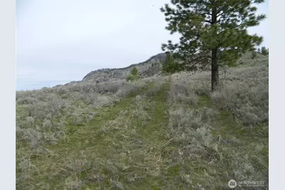 0 Tbd Six Gun Way, Tonasket, WA 98855 - Photo 4