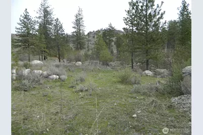 0 Tbd Six Gun Way, Tonasket, WA 98855 - Photo 1