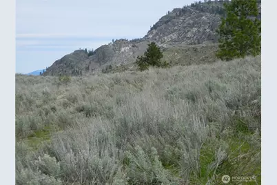 0 Tbd Six Gun Way, Tonasket, WA 98855 - Photo 6