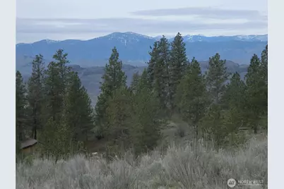 0 Tbd Six Gun Way, Tonasket, WA 98855 - Photo 14