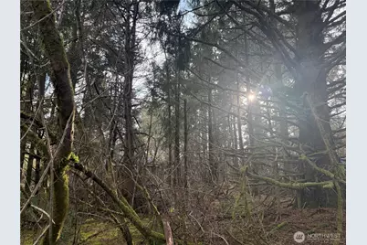 142 Xxx 142nd Lane, Long Beach, WA 98631 - Photo 2