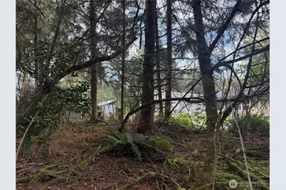 142 Xxx 142nd Lane, Long Beach, WA 98631 - Photo 1