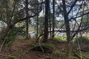 142 Xxx 142nd Ln, Long Beach, WA 98631 - Photo 1