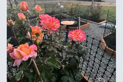 13706 31st Drive SE, Mill Creek, WA 98012 - Photo 30