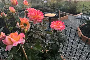 13706 31st Dr SE, Mill Creek, WA 98012 - Photo 30