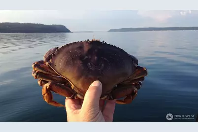 16818 Marine Drive, Stanwood, WA 98292 - Photo 40