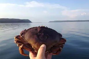 16818 Marine Dr, Stanwood, WA 98292 - Photo 40