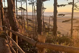 38 Trillium Ln, Pacific Beach, WA 98571 - Photo 34