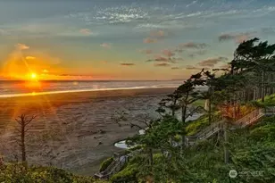 38 Trillium Ln, Pacific Beach, WA 98571 - Photo 36