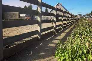 38 Trillium Ln, Pacific Beach, WA 98571 - Photo 38